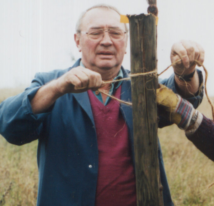 Sigi1